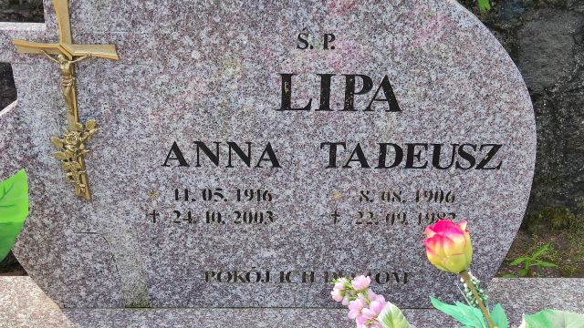 Grób Anna Lipa