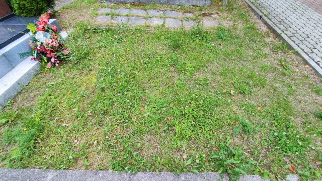  Wolne ?? Gołdap - Grobonet - Wyszukiwarka osób pochowanych