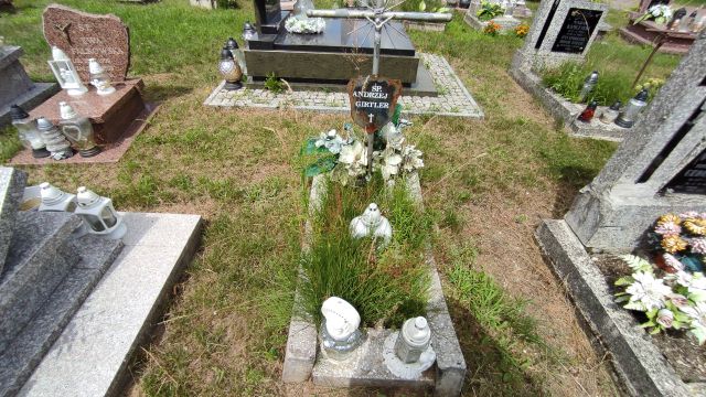 Andrzej Girtler 1982 Gołdap - Grobonet - Wyszukiwarka osób pochowanych