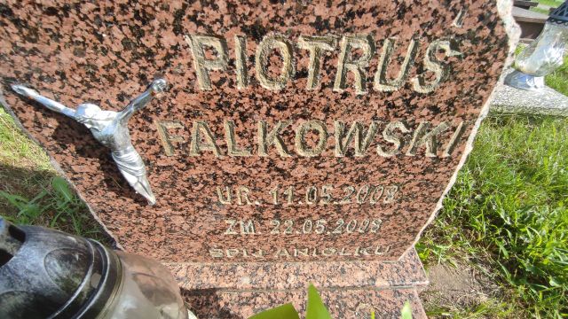 Grób Piotr Falkowski