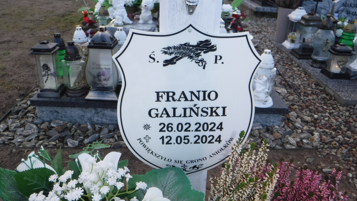 Grób Franciszek Galiński