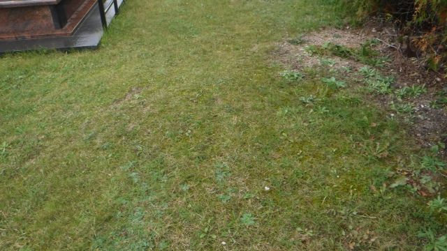  Rezerwacja  Gołdap - Grobonet - Wyszukiwarka osób pochowanych