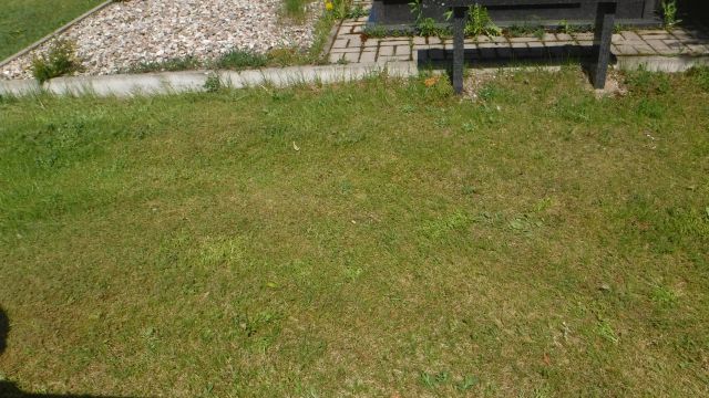  Wolne miejsce Gołdap - Grobonet - Wyszukiwarka osób pochowanych