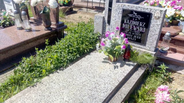 Kazimierz Milewski 1895 Gołdap - Grobonet - Wyszukiwarka osób pochowanych